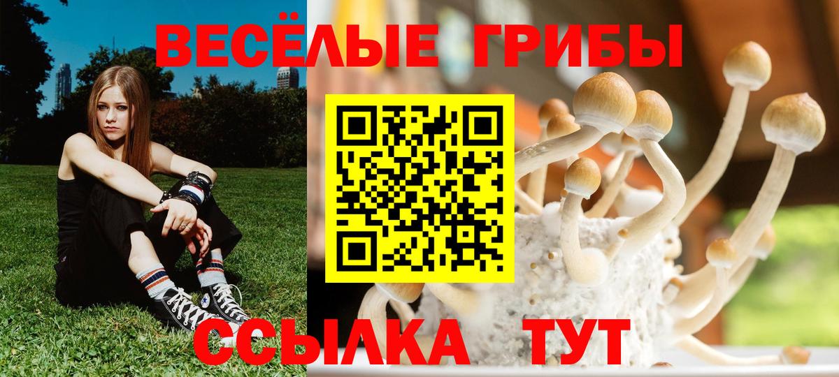 Галлюциногенные грибы GOLDEN TEACHER Архангельск